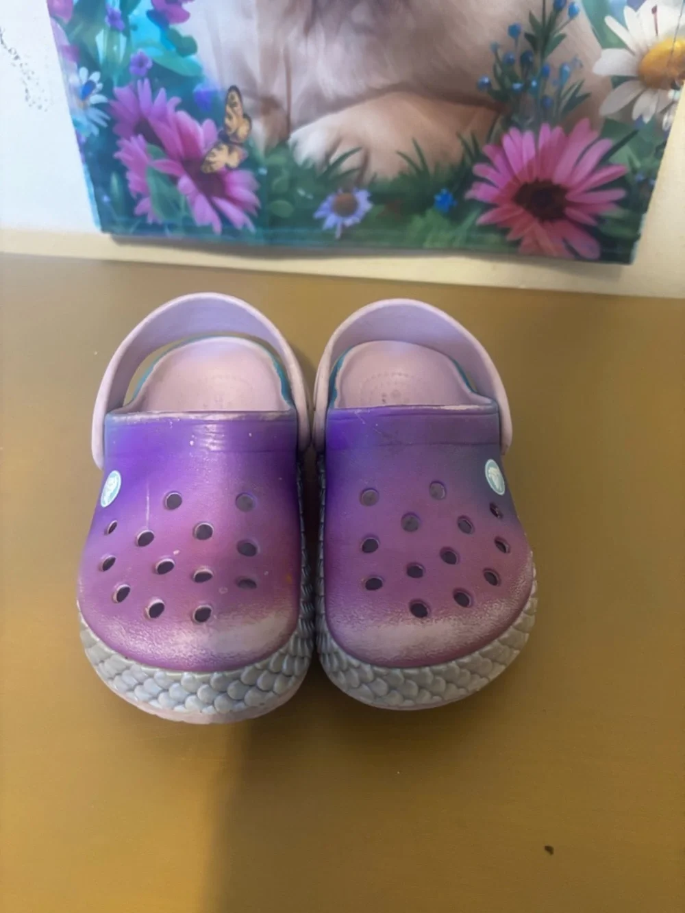 CROCS Kids Purple and Pink Slip-On Clogs